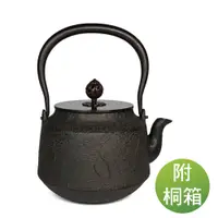 在飛比找蝦皮商城優惠-日本南部鐵器 鑄鐵茶壺 菊地政光 真形 浜松 山形鐵壺 1.