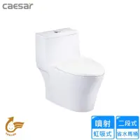 在飛比找momo購物網優惠-【CAESAR 凱撒衛浴】二段式省水單體馬桶(CF1356 