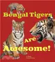 Bengal Tigers Are Awesome!