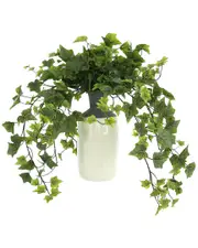 Creative Displays Ivy Arrangement in Tall Ceramic Vase