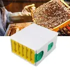 Double Layer Queen Bee Breeding Rearing Box Foam Frame Beehive Beekeeping T TOH