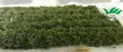 Premium Static Grass leafy hedge Self-Adhesive approximately 10mm high