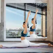 Home Gym Mirrors 14" X 12" X 16Pcs Wall Mounted Mirror Glass Frameless Full Leng
