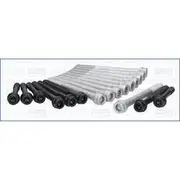 Austral Cylinder Head Bolt Set - 81009200