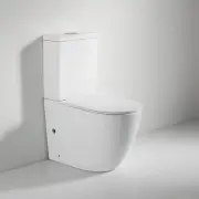 Back to Wall Soft Close Toilet Suite Hygiene Rimless Dual Flush P S Trap WELS