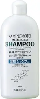 Pressurized Yoshino-containing medicated shampoo B & P [quasi-drugs] 300ml