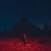 Phoebe Bridgers-Punisher Vinyl