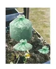 Envision 8105-01-568-1547 64 gal. Green Composable Trash Bags 30 pk