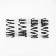 RS-R Fit 15+ Lexus RC350 RWD (GSC10) Down Sus Springs (for: Lexus)