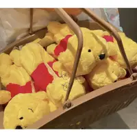 在飛比找蝦皮購物優惠-[現貨]✨東京迪士尼 小熊維尼 草莓熊 筆袋