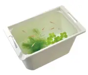 Gex Useful Medaka container 14in Resin White 15.5oz 2gal Japan killifish bowl
