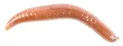 Berkley GHPC2-NC Gulp Pinched