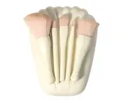 B01 5pcs Makeup Brush Set Travel Portable Contouring Eyeshadow with Mirror