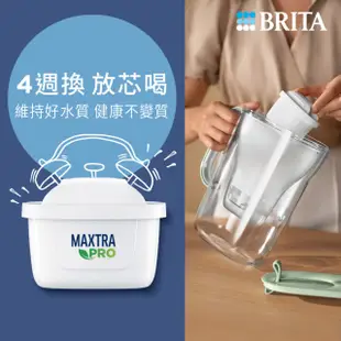 【BRITA】MAXTRA PRO濾芯-去水垢專家(8入裝)