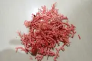 Tatskieshells- crat supply pink so lace crushed solace 40-grms 1-lot