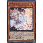 遊戲王 正刻 MACR-JP036 灰流晴 灰流麗(亮面)