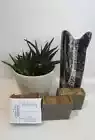 BLACK CHERRY - Moisturizing Handmade-Homemade Beef Tallow Clay Bar Soap