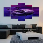 Star Trek USS Enterprise Spaceship Framed 5 Piece Space Canvas Wall Art Painting