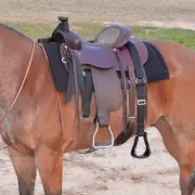 Step up Stirrup Extender for Saddle No Mounting Block, 55 Inches or 72 Inches