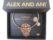 Alex and Ani Compass III Bangle Bracelet ROSE GOLD New Tag Box Card