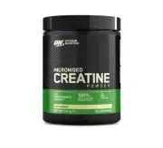 Optimum Nutrition Micronized Creatine | Supports Strength & Power | 317g