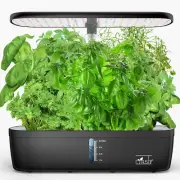 Indoor Garden Hydroponics Growing System 12 Pods, Indoor Herb Garden with LED Gr