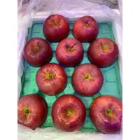 在飛比找蝦皮購物優惠-日本青森大紅榮蘋果🍎