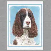 6 English Springer Spaniel Blank Art Note Greeting Cards