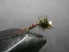 1 DOZEN TUNGSTEN HEAD PHEASANT AND PEACOCK NYMPHS FOR FLY FISHING-TUNG-34