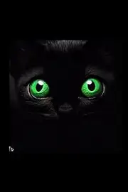 Notebook kitty eyes: Black cover. 6 x 9 in; 120 striped sheets