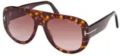 Tom Ford CECIL FT 1078 Havana/Bordeaux Shaded (52T) Sunglasses