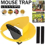 Mouse Trap Flip N Slide Bucket Lid Mouse Rat Trap With Ladder Mousetrap Catcher