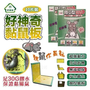 【好神奇】超黏黏鼠板20片裝(足30G膠水/展開大尺寸/環保衛生/加厚紙板)