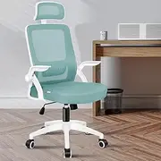 ALFORDSON Office Chair Mesh Computer Chair Swivel Executive Desk Chair with Adjustable Headrest and Armrest Arco Series(Cyan)