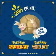 Golem Shiny or Non ✨ 6 IV Competitive Customizable Pokémon Scarlet Violet