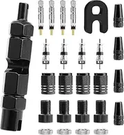 KEWAYO 26PCS Valve Core Tool Set,Included Presta Valve Core and Cap, Schrader Valve Core and Cap, Presta to Schrader Valve Adapter, Rim Nut, Core Removal Tool