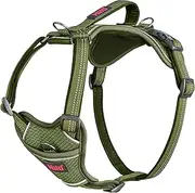 HALTI Anatomy Dog Harness with Handle - Provides Your Dog Freedom of Movement for Comfortable Walking. 3 Lead Attachment Points, Neoprene Padded, Adjustable, and Reflective (Size Large, Green)