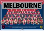 Melbourne demons team Photo,AFL football,swans, ,blues books,Sydney swans,pies 1