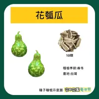 在飛比找露天拍賣優惠-【空中花園藝世界】花瓠瓜種子 10顆裝 蒲仔 扁蒲 瓠瓜 匏