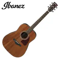 在飛比找蝦皮購物優惠-名冠樂器 Ibanez AW54 OPN 面單板 民謠吉他