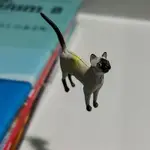 日本正版 海洋堂 日本的動物 巧克力蛋 擬真動物 貓咪 公仔 模型 玩具 收藏 轉蛋 扭蛋 食玩 盒玩