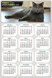 2025 Peel & Stick Calendar - Today is my Lucky Day Removable - Cat 014 (9"x 6")