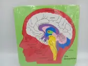 NOS Foam Anatomy Brain Puzzle 8-1/2" Square