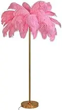 Dimmable Floor Lamp with Ostrich Feather Shade and LED Bulb - Gold Floor Lamp for Living Room Lighting and Bedroom Decor