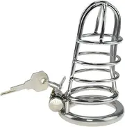 SM Sex Toys Inverted Chastity Cage to Prevent Erection Chastity Lock Stainless Steel Male Metal Beginner Device Penis Ring Penis Cage