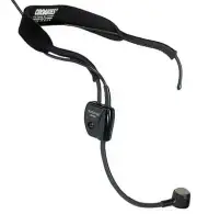 Shure WH20TQG Dynamic Headset Microphone with XLR Connector