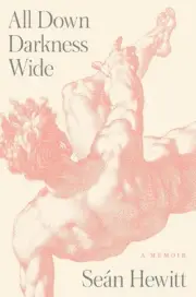 All Down Darkness Wide: A Memoir by Se?n Hewitt (English) Hardcover Book