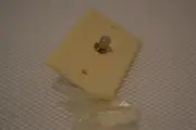 ONE NEW ALARM CONTROLS CORPORATION REMOTE PLATE MODEL RP-44.
