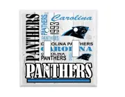 Carolina Panthers Subway Art Standard Double Light Switch Cover NFL Football