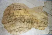 Figure Electric Bass/Guitar Top Spalted Flame Maple Wood Set Luthier Supply